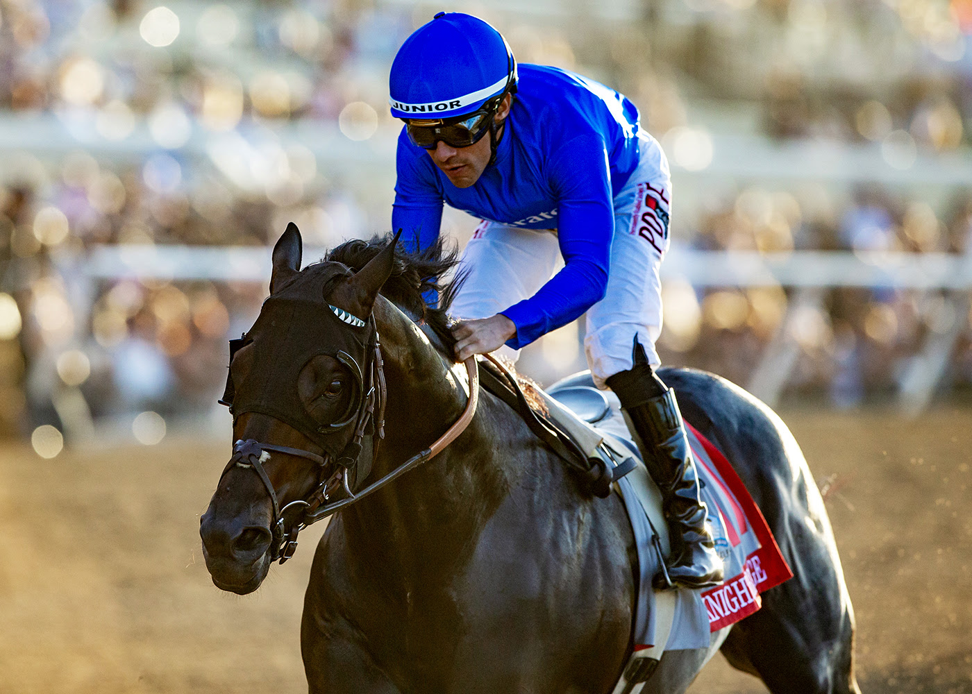 Knighstbridge, horse, Godolphin, Pacific Classic, sábado, 22 de agosto de 2026, Del Mar. Foto: Benoit Photo