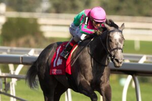 Luster, horses, Knicks Go, King´s Plate Stakes, sábado, 15 de agosto de 2026, Woodbine. Michael Burns Photography & Woodbine