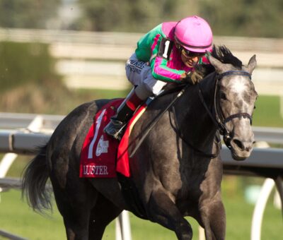 Luster, horses, Knicks Go, King´s Plate Stakes, sábado, 15 de agosto de 2026, Woodbine. Michael Burns Photography & Woodbine