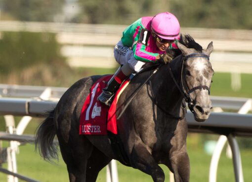 Luster, horses, Knicks Go, King´s Plate Stakes, sábado, 15 de agosto de 2026, Woodbine. Michael Burns Photography & Woodbine