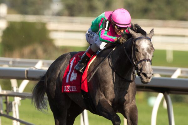 Luster, horses, Knicks Go, King´s Plate Stakes, sábado, 15 de agosto de 2026, Woodbine. Michael Burns Photography & Woodbine