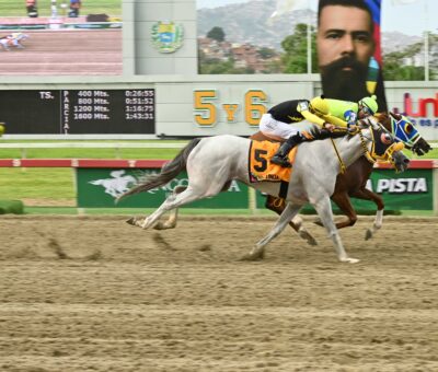 Madame Karina, horse, Haras Bello Monte, Clásico Joaquín Crespo, domingo, 9 de agosto de 2026, La Rinconada. Foto: José Antonio Aray