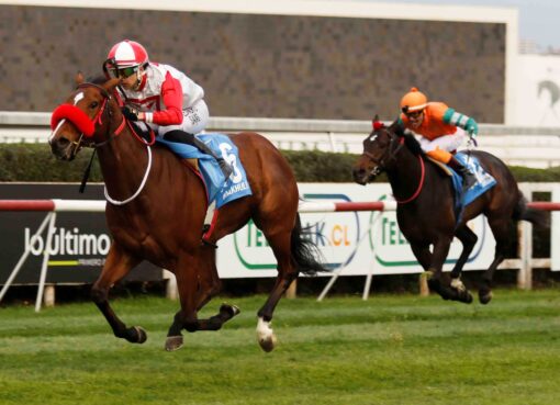 Makhulu, horse, Tiz The Law, Clásico Polla de Potrillos, sábado, 30 de agosto de 2026, Club Hípico de Santiago. Foto: Jaime Cortés