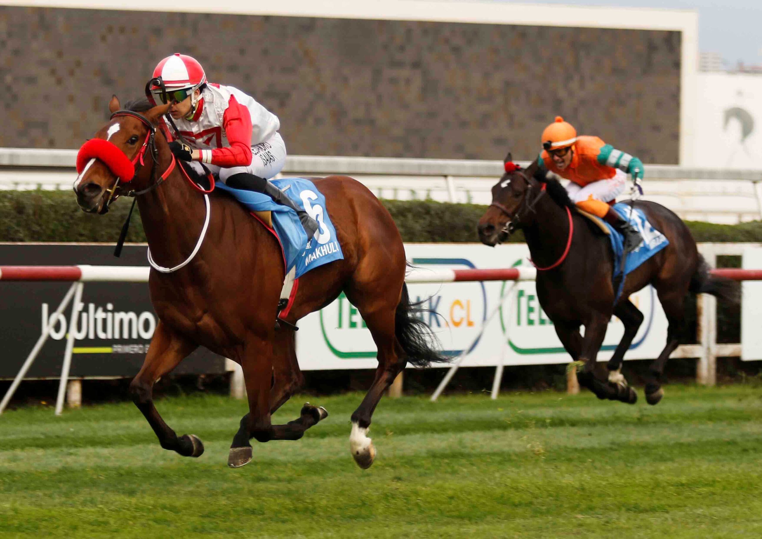 Makhulu, horse, Tiz The Law, Clásico Polla de Potrillos, sábado, 30 de agosto de 2026, Club Hípico de Santiago. Foto: Jaime Cortés