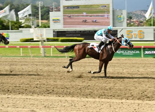 Ponsigue, horse, Tato Zeta, Clásico My Own Business, domingo, 2 de agosto de 2026, La Rinconada. Foto: José Antonio Aray