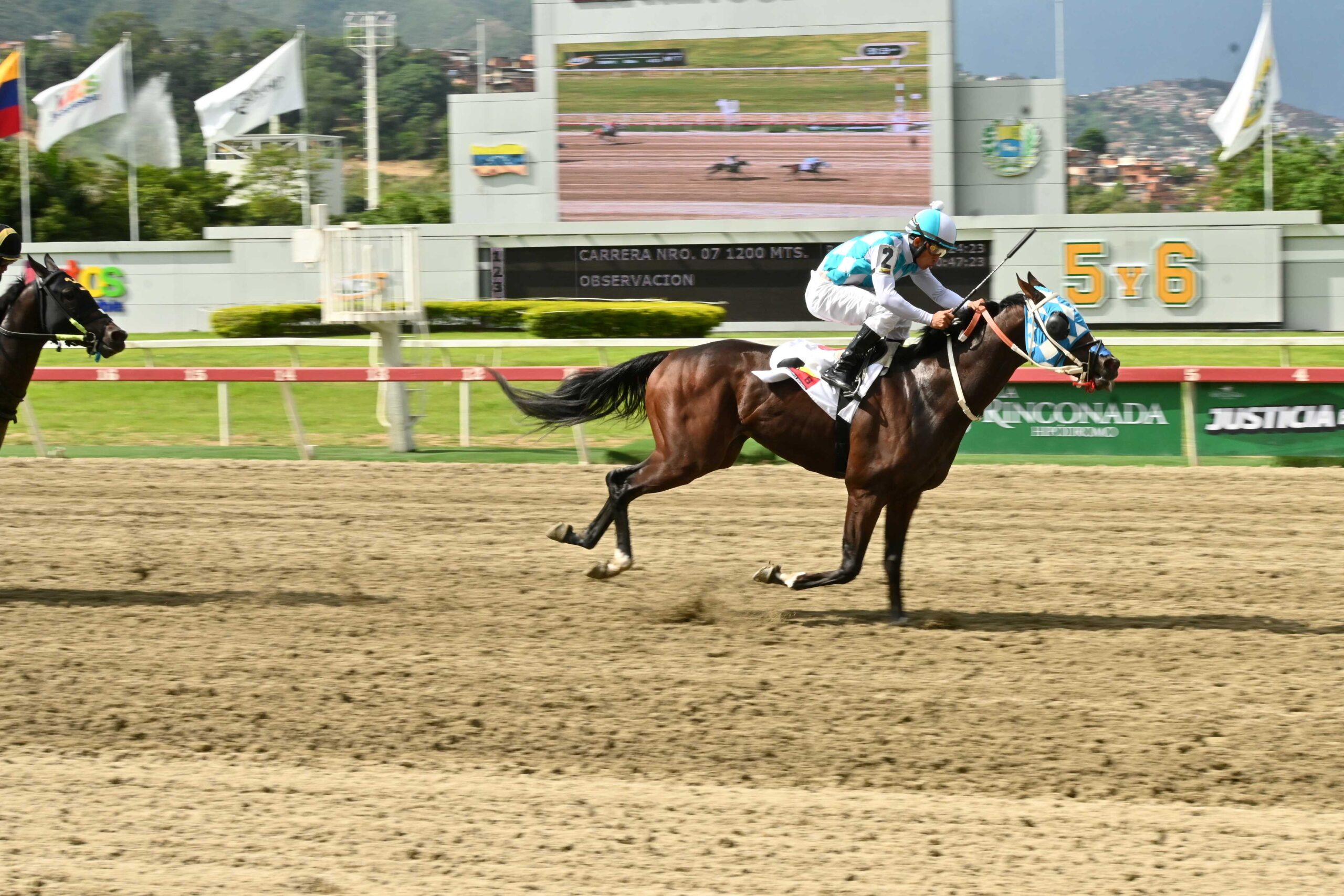 Ponsigue, horse, Tato Zeta, Clásico My Own Business, domingo, 2 de agosto de 2026, La Rinconada. Foto: José Antonio Aray