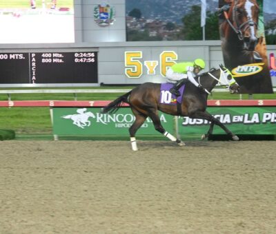 Queen Of Dragons, horse, Haras La Orlyana, Clásico Sprinters Yeguas, domingo, 30 de agosto de 2026, La Rinconada. Foto: José Antonio Aray