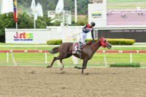Teniente Dan, horse, Grand Adventure, Clásico República de Venezuela, domingo, 16 de agosto de 2026, La Rinconada. Foto: José Antonio Aray