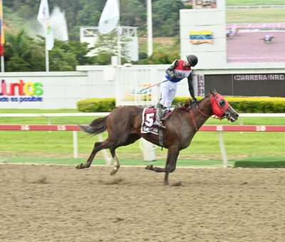 Teniente Dan, horse, Grand Adventure, Clásico República de Venezuela, domingo, 16 de agosto de 2026, La Rinconada. Foto: José Antonio Aray