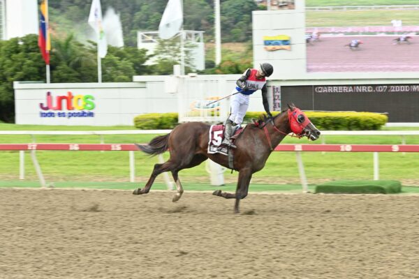 Teniente Dan, horse, Grand Adventure, Clásico República de Venezuela, domingo, 16 de agosto de 2026, La Rinconada. Foto: José Antonio Aray