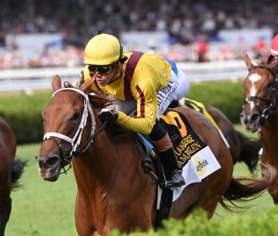 Amberglen, horse, Stonestreet Stables, Lake George Stakes, sábado, 1 de agosto de 2026, Saratoga. Foto: Coglaniese Photo & Chelsea Durand