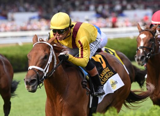 Amberglen, horse, Stonestreet Stables, Lake George Stakes, sábado, 1 de agosto de 2026, Saratoga. Foto: Coglaniese Photo & Chelsea Durand