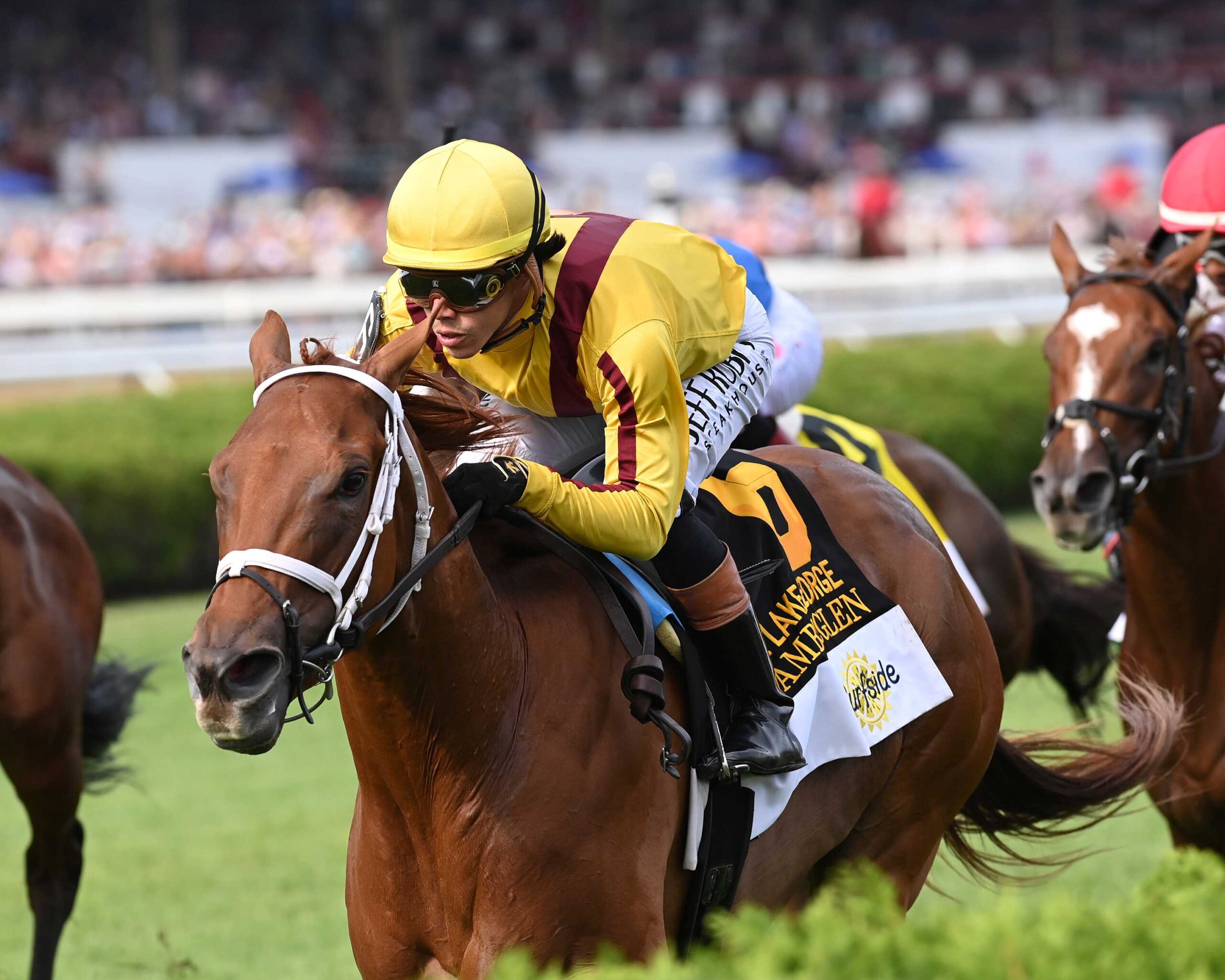 Amberglen, horse, Stonestreet Stables, Lake George Stakes, sábado, 1 de agosto de 2026, Saratoga. Foto: Coglaniese Photo & Chelsea Durand