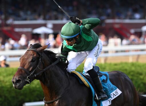 Bottas, horse, Vekoma, National Museum Of Racing Hall of Fame Stakes, viernes, 7 de agosto de 2026, Saratoga. Foto: Coglaniese Photo & Chelsea Durand