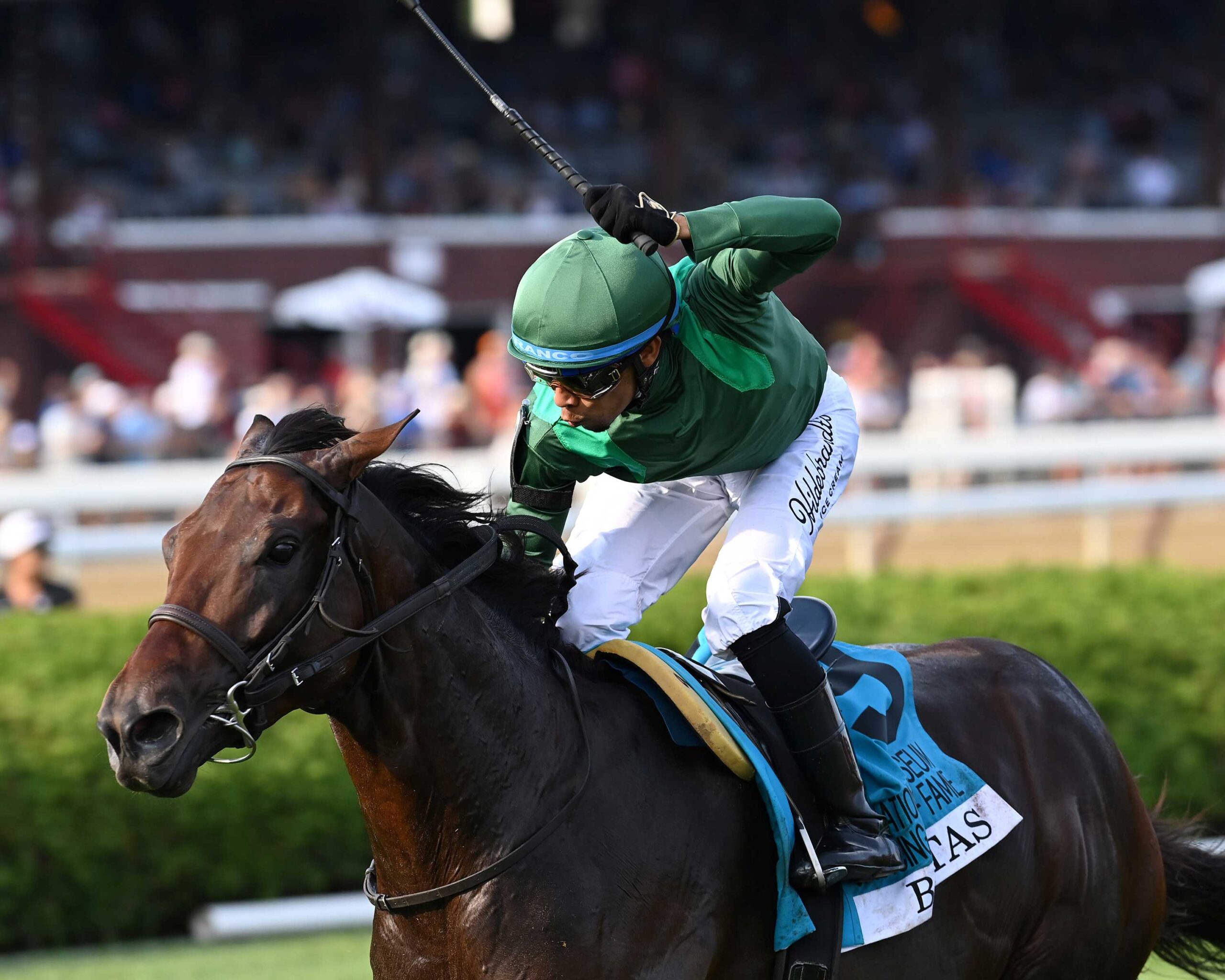 Bottas, horse, Vekoma, National Museum Of Racing Hall of Fame Stakes, viernes, 7 de agosto de 2026, Saratoga. Foto: Coglaniese Photo & Chelsea Durand