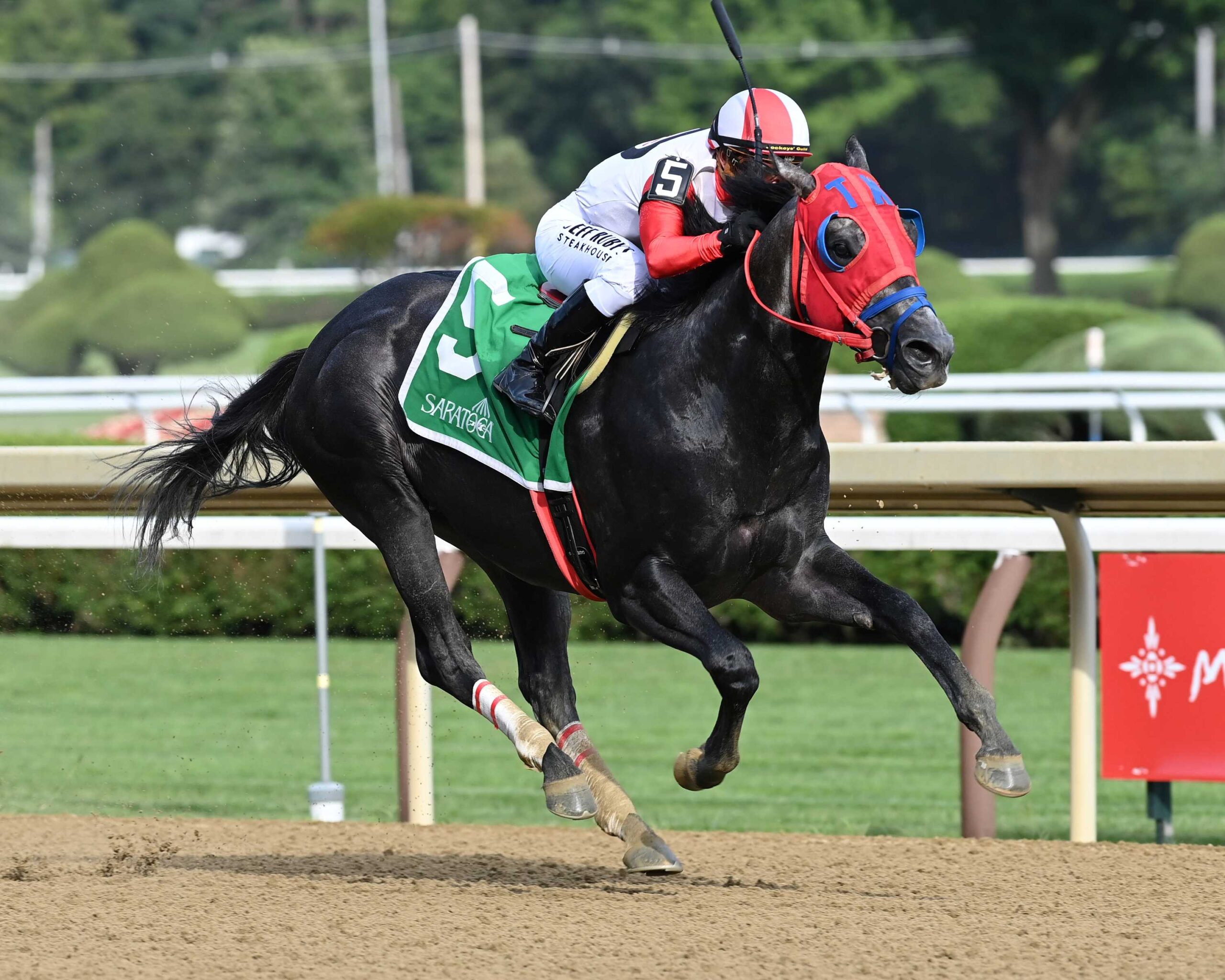Buttah, horse, Leofric, John Morrissey, jueves, 6 de julio de 2026, Saratoga. Foto: Coglaniese Photo