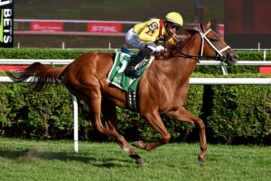 Cadenza, horse, Stonestreet Stables, Galway Stakes, sábado, 15 de agosto de 2026, Saratoga. Foto: Coglaniese Photo