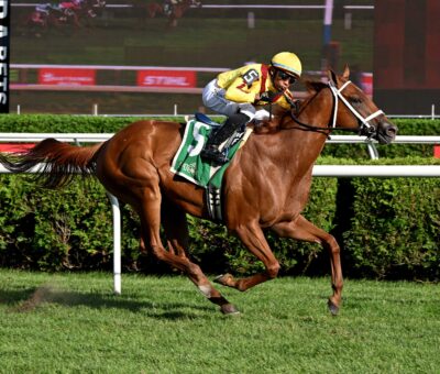 Cadenza, horse, Stonestreet Stables, Galway Stakes, sábado, 15 de agosto de 2026, Saratoga. Foto: Coglaniese Photo