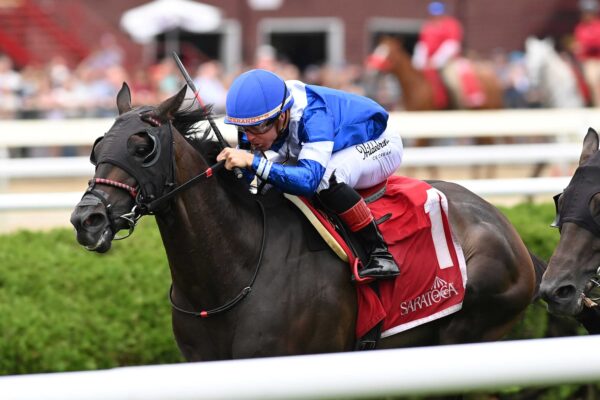 Chummers, horse, Combatant, NYSS Cab Calloway, jueves, 20 de Agosto de 2026, Saratoga. Foto: Coglaniese Photo & Chelsea Durand