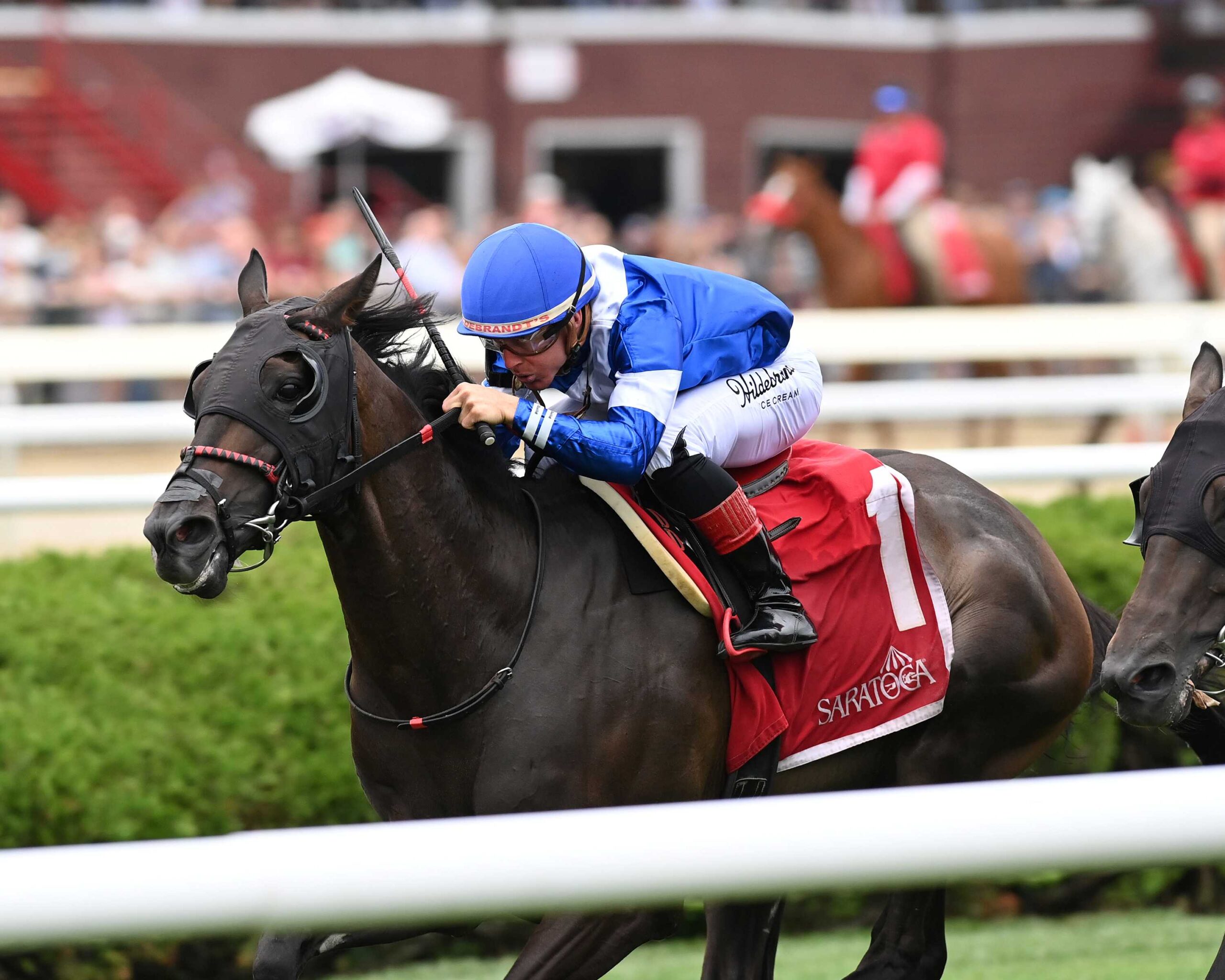 Chummers, horse, Combatant, NYSS Cab Calloway, jueves, 20 de Agosto de 2026, Saratoga. Foto: Coglaniese Photo & Chelsea Durand