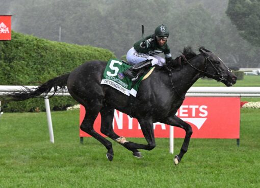 Deterministic, horse, Liam´s Map, Fourstardave Handicap, sábado, 2 de agosto de 2025, Saratoga. Foto: Coglaniese Photo