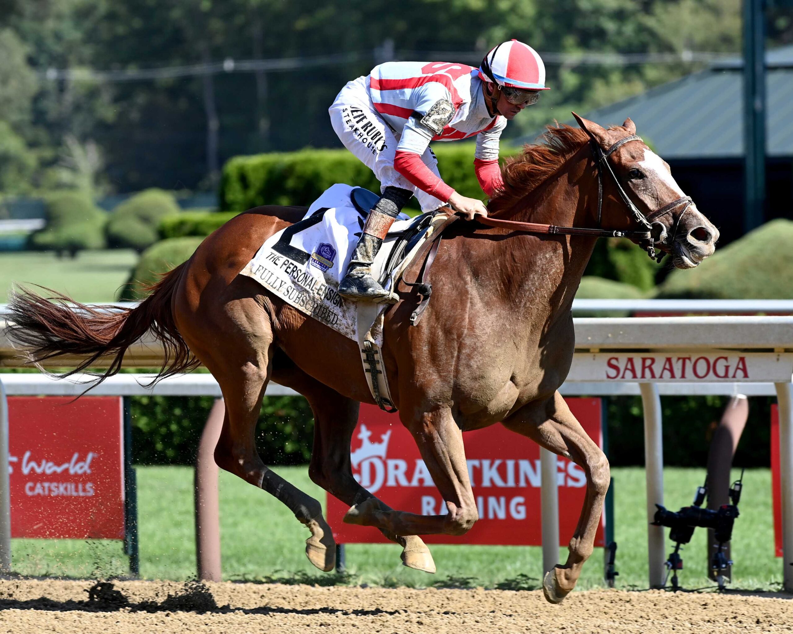Fully Subscribed, horse, Tiz The Law, Personal Ensign Stakes, sábado, 29 de agosto de 2026, Saratoga. Foto: Coglaniese Photo