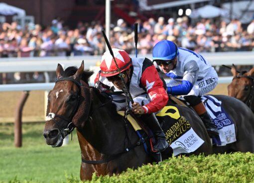 Glacius, horse, Too Darn Hot (GB), Saratoga Derby, sábado, 8 de agosto de 2026, Saratoga. Foto: Coglaniese Photo & Chelsea Durand