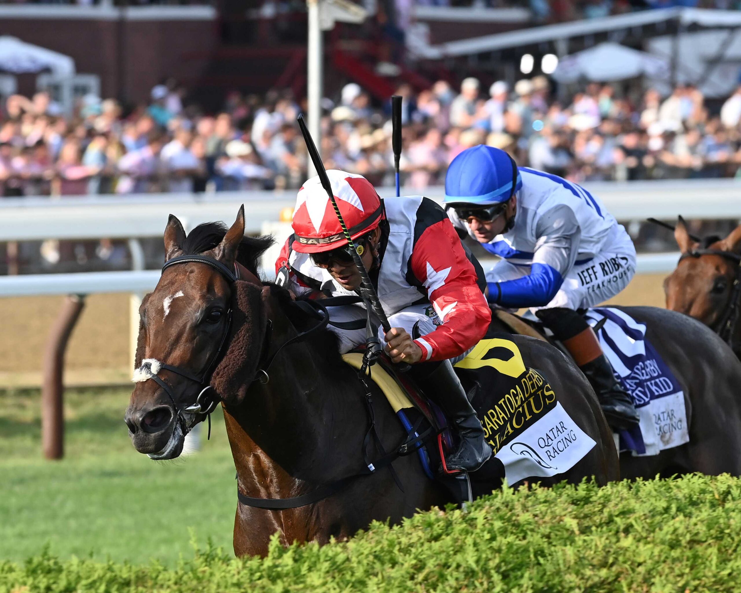 Glacius, horse, Too Darn Hot (GB), Saratoga Derby, sábado, 8 de agosto de 2026, Saratoga. Foto: Coglaniese Photo & Chelsea Durand