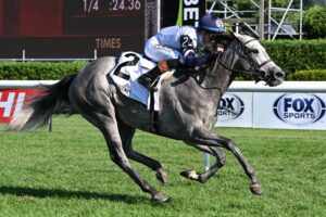 Greyjoy, horse, Lookin At Lee, NYSS Statue Of Liberty División, Miércoles, 19 de agosto de 2026, Saratoga. Foto: Coglaniese Photo