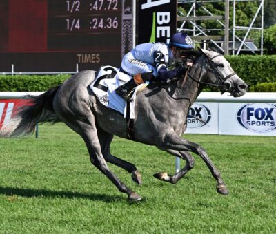 Greyjoy, horse, Lookin At Lee, NYSS Statue Of Liberty División, Miércoles, 19 de agosto de 2026, Saratoga. Foto: Coglaniese Photo