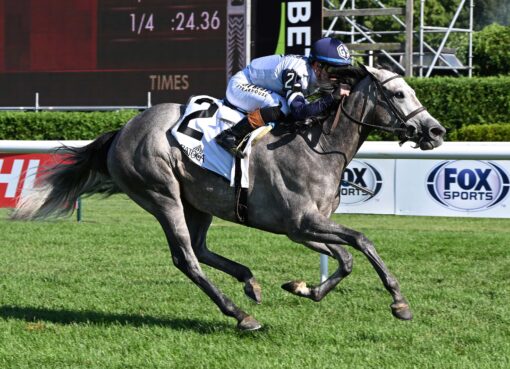 Greyjoy, horse, Lookin At Lee, NYSS Statue Of Liberty División, Miércoles, 19 de agosto de 2026, Saratoga. Foto: Coglaniese Photo