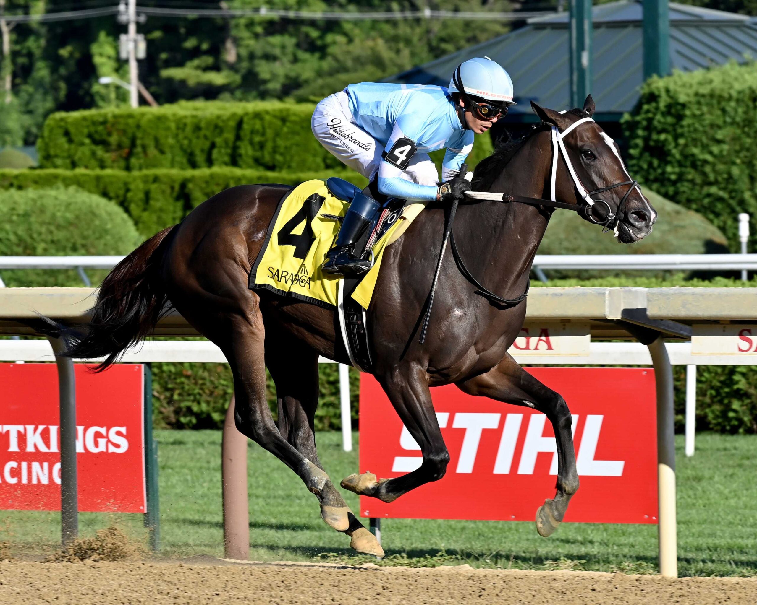 Iron Orchard, horse, Authentic, Fleet Indian Stakes, viernes, 21 de agosto de 2026, Saratoga. Foto: Coglaniese Photo