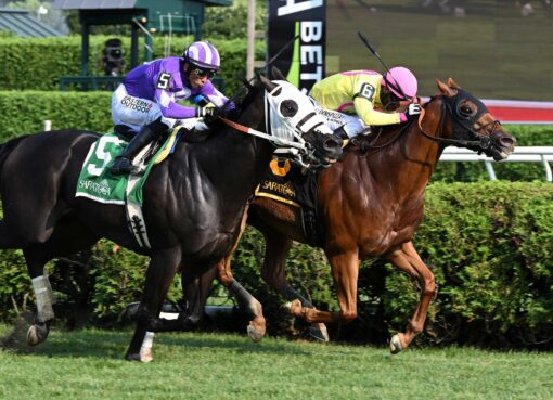 John The Beer Man, horse, Phipps Stable, Troy Stakes, domingo, 6 de agosto de 2026, Saratoga. Foto: Coglaniese Photo