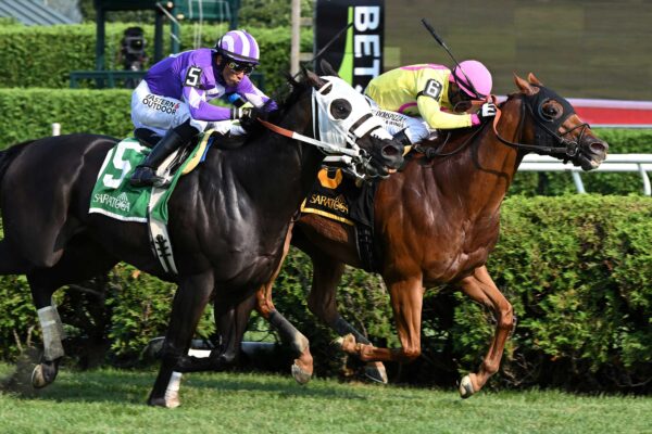 John The Beer Man, horse, Phipps Stable, Troy Stakes, domingo, 6 de agosto de 2026, Saratoga. Foto: Coglaniese Photo