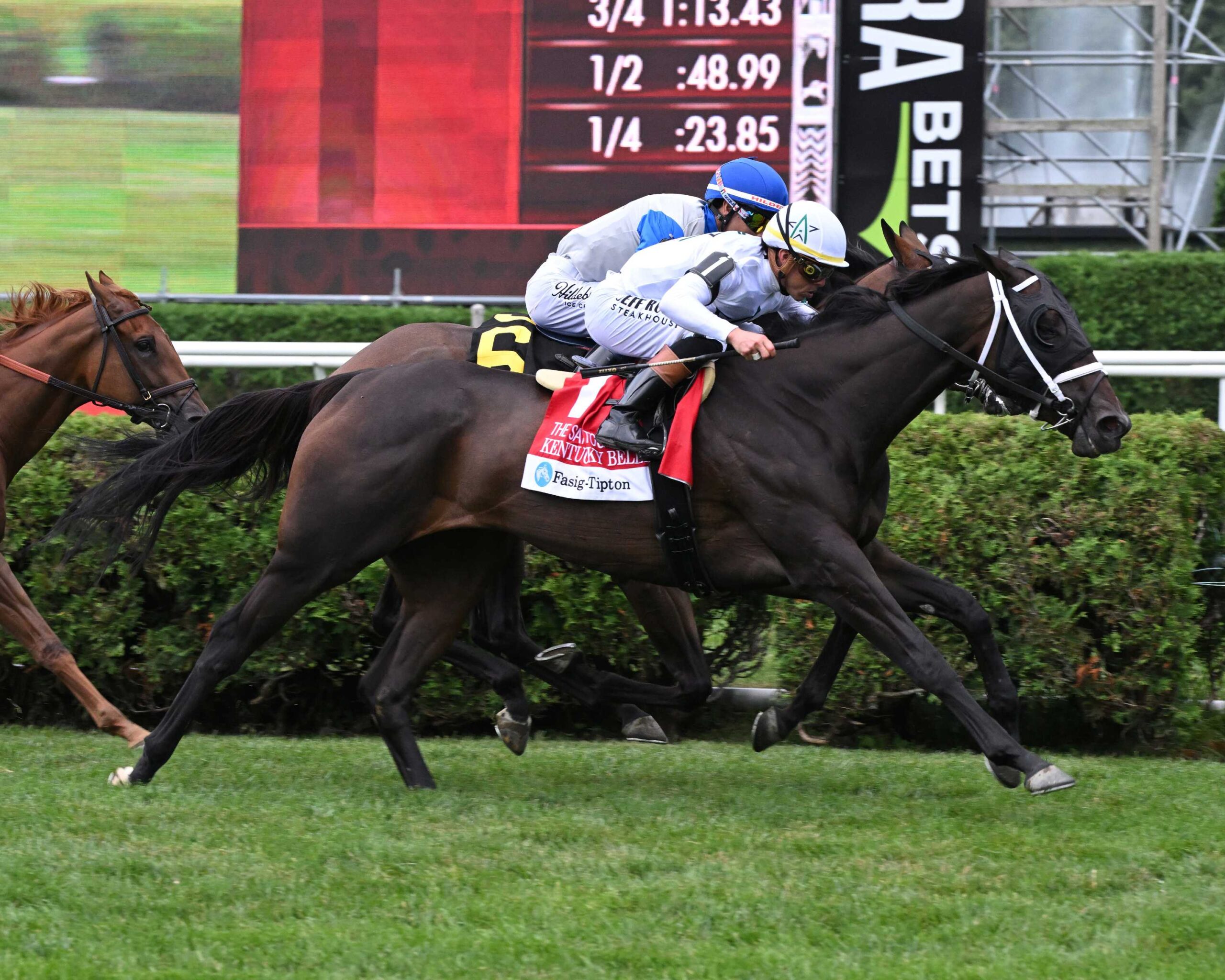 Kentucky Belle, horse, Justify, Saratoga Oaks, viernes, 7 de agosto de 2026, Saratoga. Foto: Coglaniese Photo