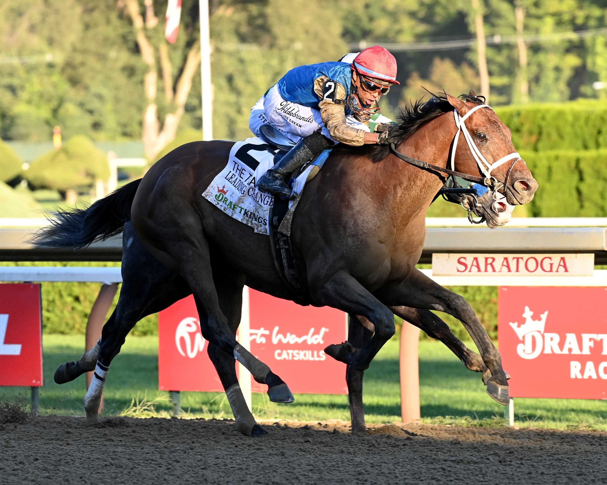 Leading Change, horse, WinStar Farm, Travers Stakes, sábado, 29 de agosto de 2026, Saratoga. Foto: Coglaniese Photo