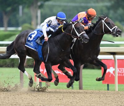 Local Knowledge, horse, Yaupon, Amsterdam Stakes, viernes, 31 de julio de 2026, Saratoga. Foto: Coglaniese Photo