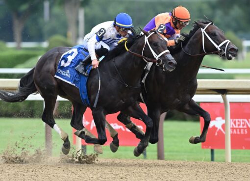 Local Knowledge, horse, Yaupon, Amsterdam Stakes, viernes, 31 de julio de 2026, Saratoga. Foto: Coglaniese Photo