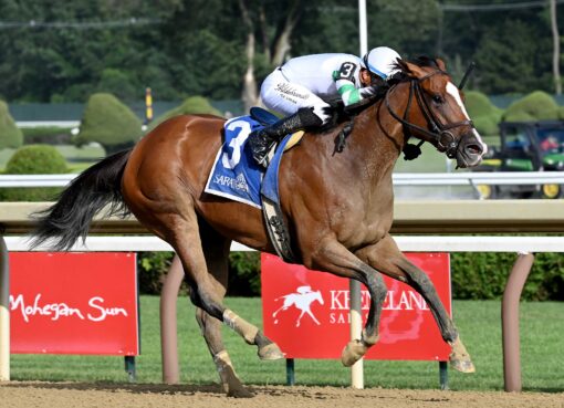 Munnings Express, horse, Munnings, Johnstone Stakes, miércoles, 5 de agosto de 2026, Saratoga. Foto: Coglaniese Photo