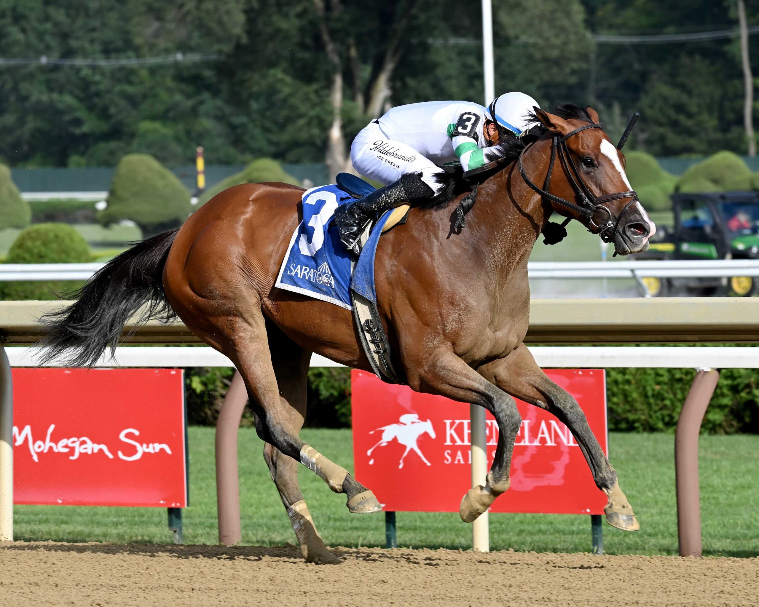 Munnings Express, horse, Munnings, Johnstone Stakes, miércoles, 5 de agosto de 2026, Saratoga. Foto: Coglaniese Photo