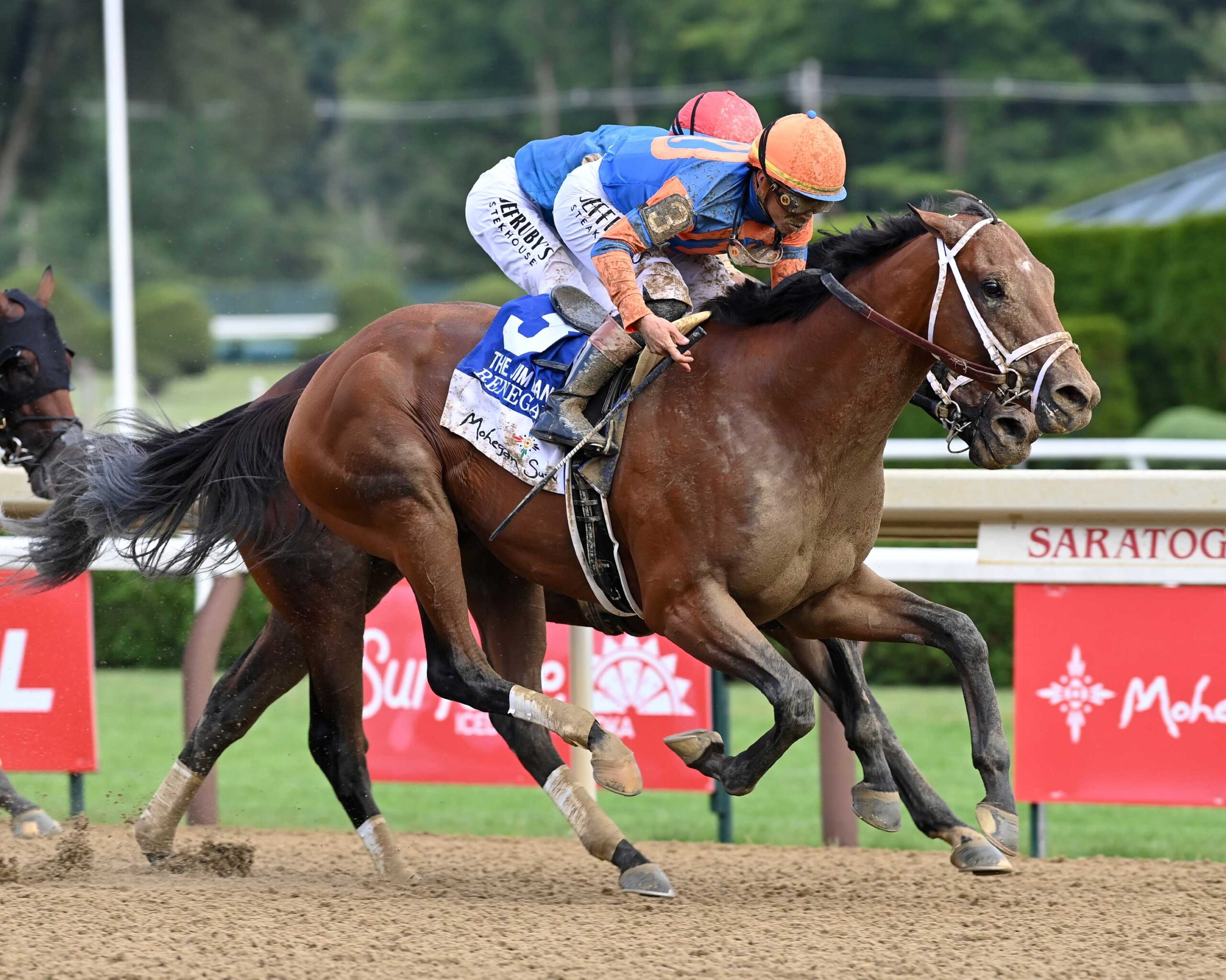 Renegade, horse, Repole Stable, Jim Dandy Stakes, sábado, 1 de agosto de 2025, Saratoga. Foto: Coglaniese Photo