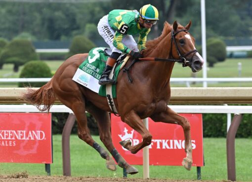 Sea Strike, horses, Mendelssohn, Curlin Stakes, domingo, 2 de agosto de 2026, Saratoga. Foto: Coglaniese Photo