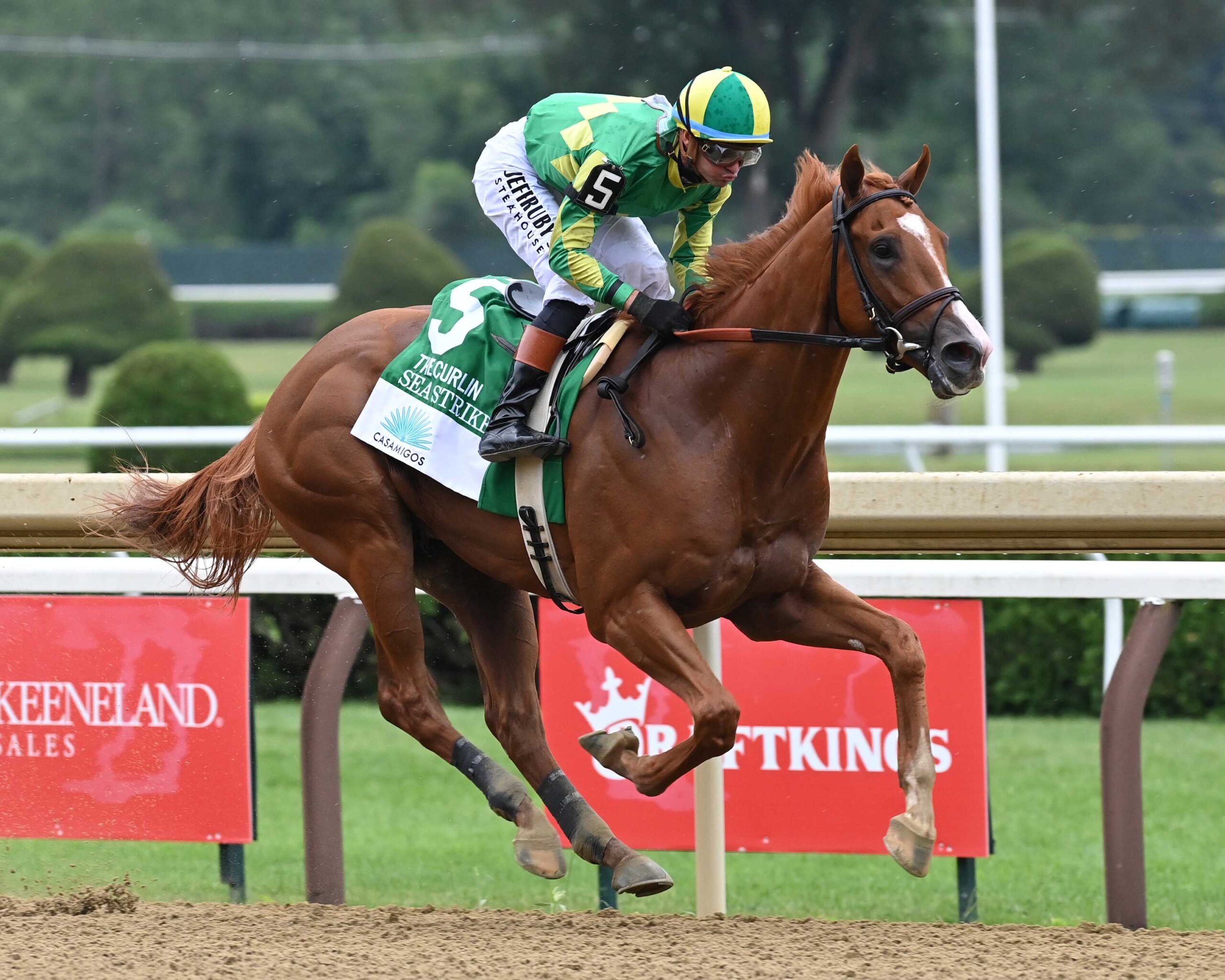 Sea Strike, horses, Mendelssohn, Curlin Stakes, domingo, 2 de agosto de 2026, Saratoga. Foto: Coglaniese Photo