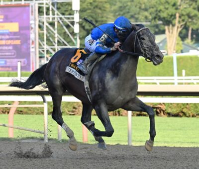 Sovereignty, horse, Into Mischief, Whitney Stakes, sábado, 8 de agosto de 2026, Saratoga. Foto: Coglaniese Photo