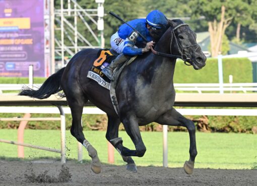 Sovereignty, horse, Into Mischief, Whitney Stakes, sábado, 8 de agosto de 2026, Saratoga. Foto: Coglaniese Photo