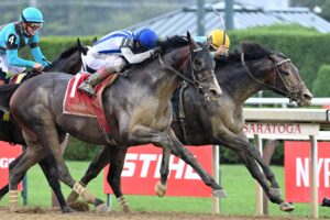 Stars And Stripes, horses, Not This Time, Birdstone Stakes, jueves, 13 de agosto de 2026, Saratoga. Foto: Coglianese Photo