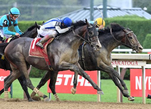 Stars And Stripes, horses, Not This Time, Birdstone Stakes, jueves, 13 de agosto de 2026, Saratoga. Foto: Coglianese Photo