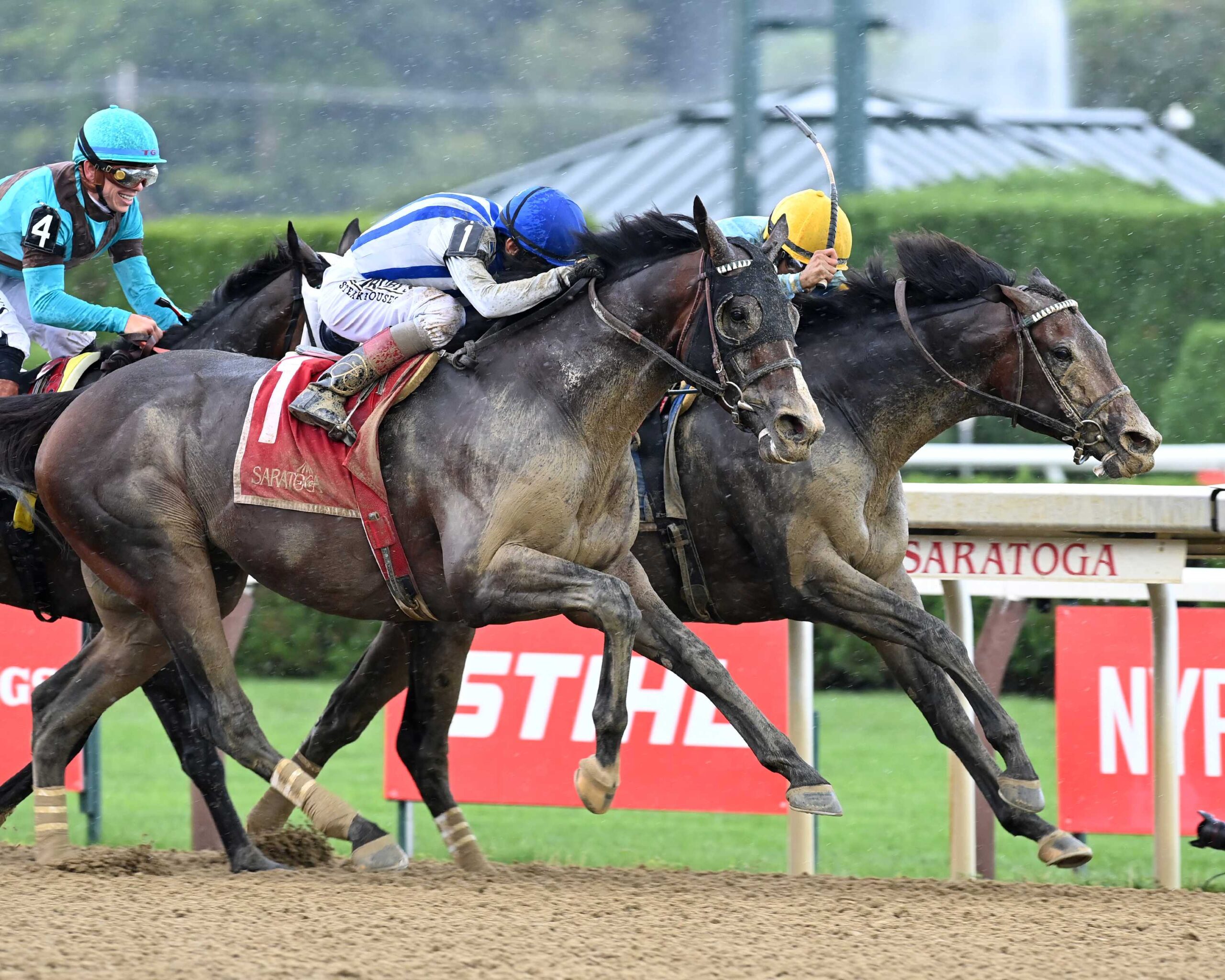 Stars And Stripes, horses, Not This Time, Birdstone Stakes, jueves, 13 de agosto de 2026, Saratoga. Foto: Coglianese Photo