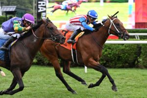 Stradale, horse, Yaupon, Mahony Stakes, domingo, 16 de agosto de 2026, Saratoga. Foto: Coglaniese Photo
