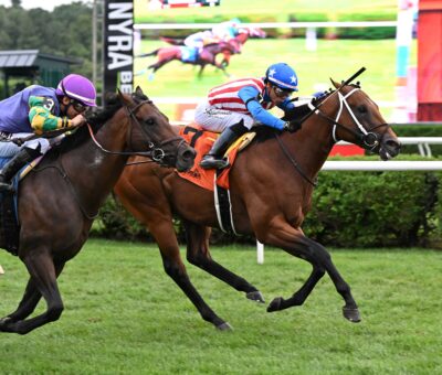 Stradale, horse, Yaupon, Mahony Stakes, domingo, 16 de agosto de 2026, Saratoga. Foto: Coglaniese Photo